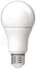 LED Globe A70 16W E27 180° CW 6400K