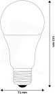 LED Globe A70 16W E27 180° CW 6400K