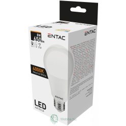 LED IZZÓ E27 8W NW 4000K