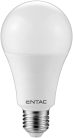 LED Globe E27 18W CW 6400K Entac