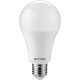 LED Globe E27 18W CW 6400K Entac